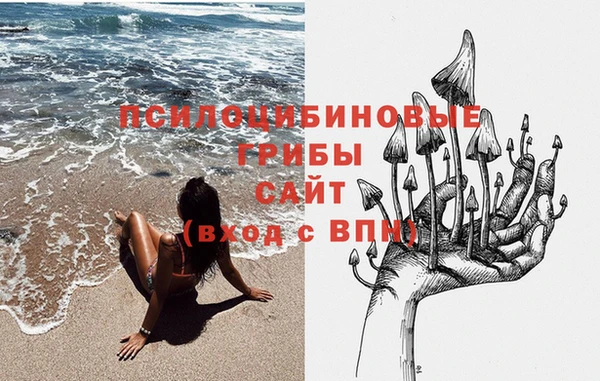марки lsd Осташков