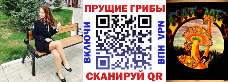 mega ссылки  мориарти наркотические препараты  Галлюциногенные грибы GOLDEN TEACHER  Новокубанск 