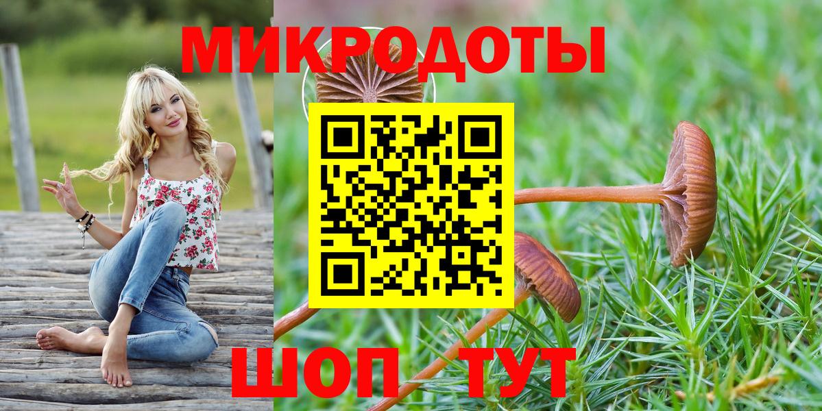 Псилоцибиновые грибы Psilocybe  Вход с VPN  Галлюциногенные грибы ЛСД  Новокубанск 